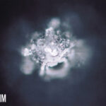City water (source: IHM)